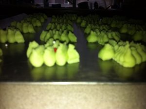 Green Cookies in a Row